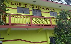 Hotel Los Tulipanes